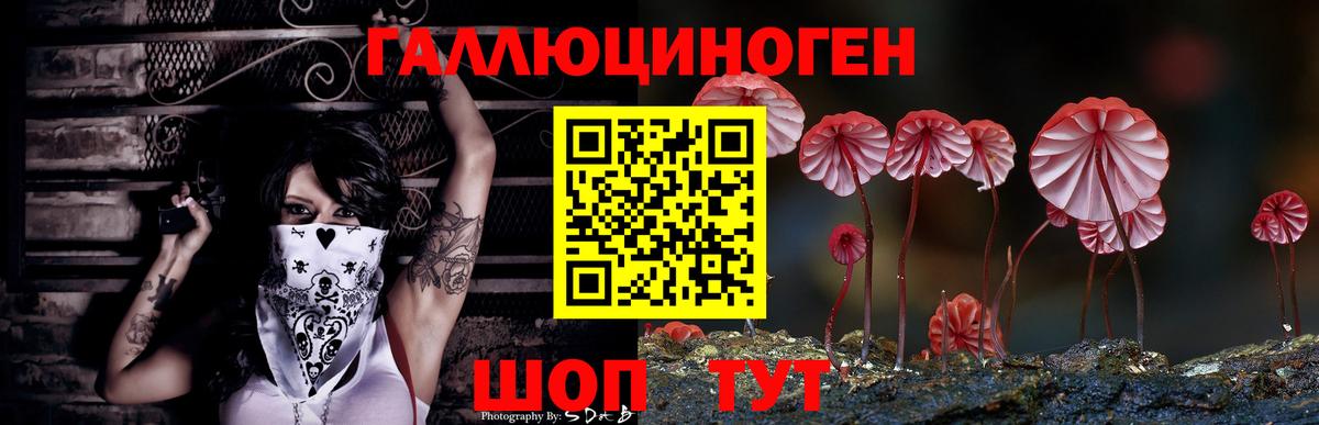 Псилоцибиновые грибы Cubensis Тара